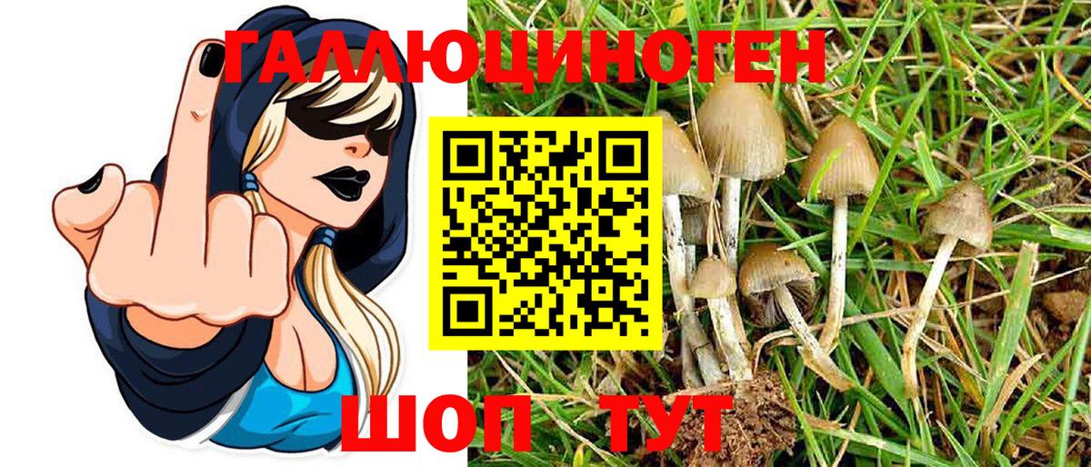 Псилоцибиновые грибы Psilocybine cubensis  Вход с VPN  Пугачёв 