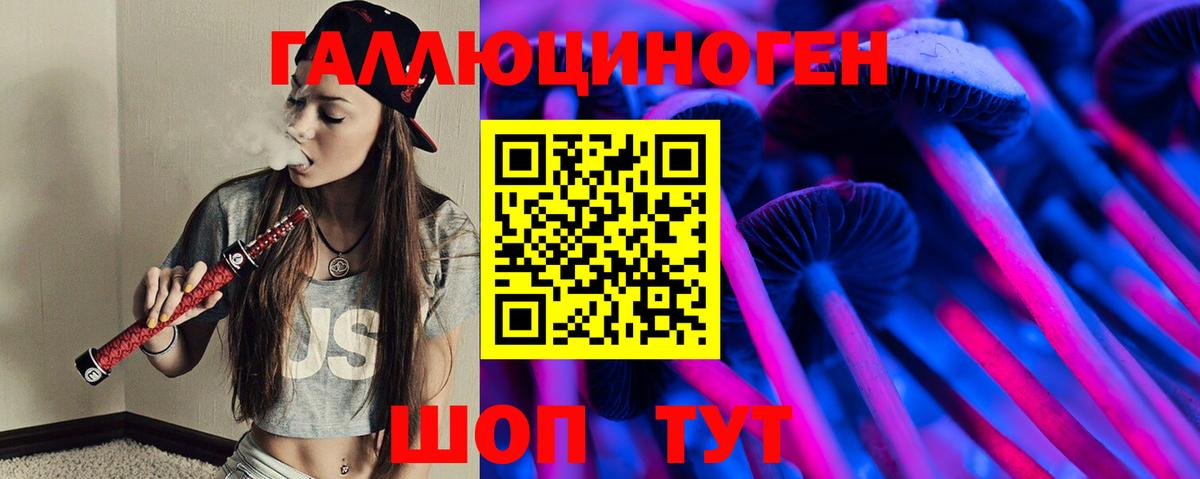 Галлюциногенные грибы Cubensis Пугачёв